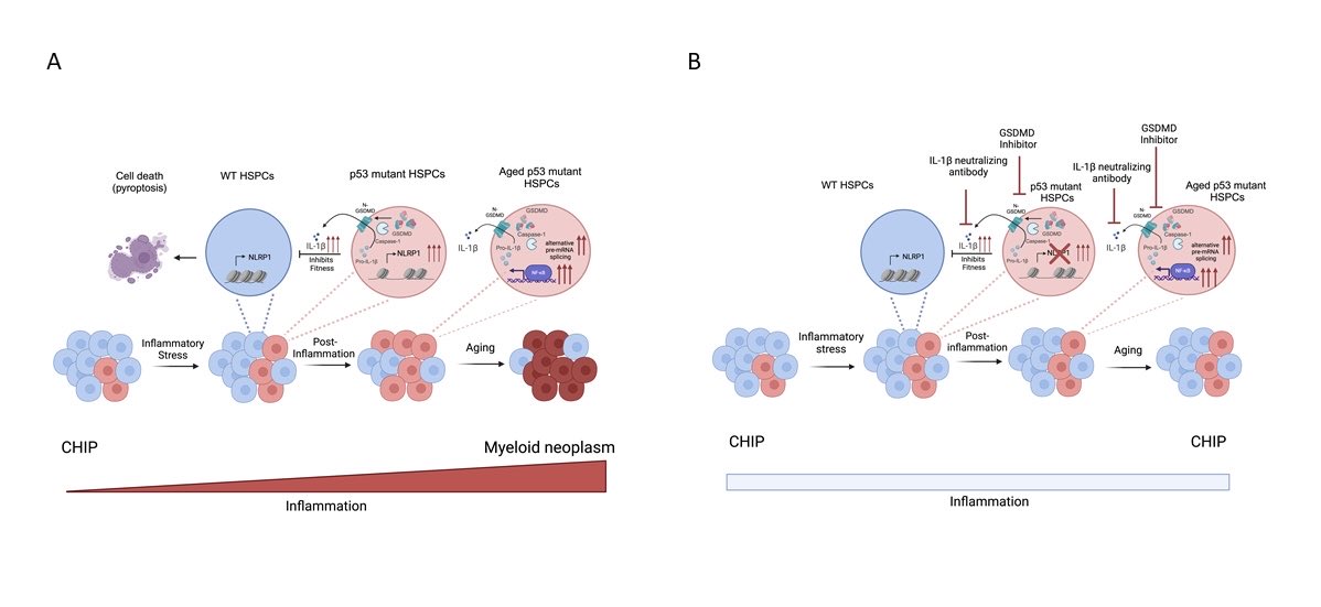 Yan Liu Lab Northwestern tweet media