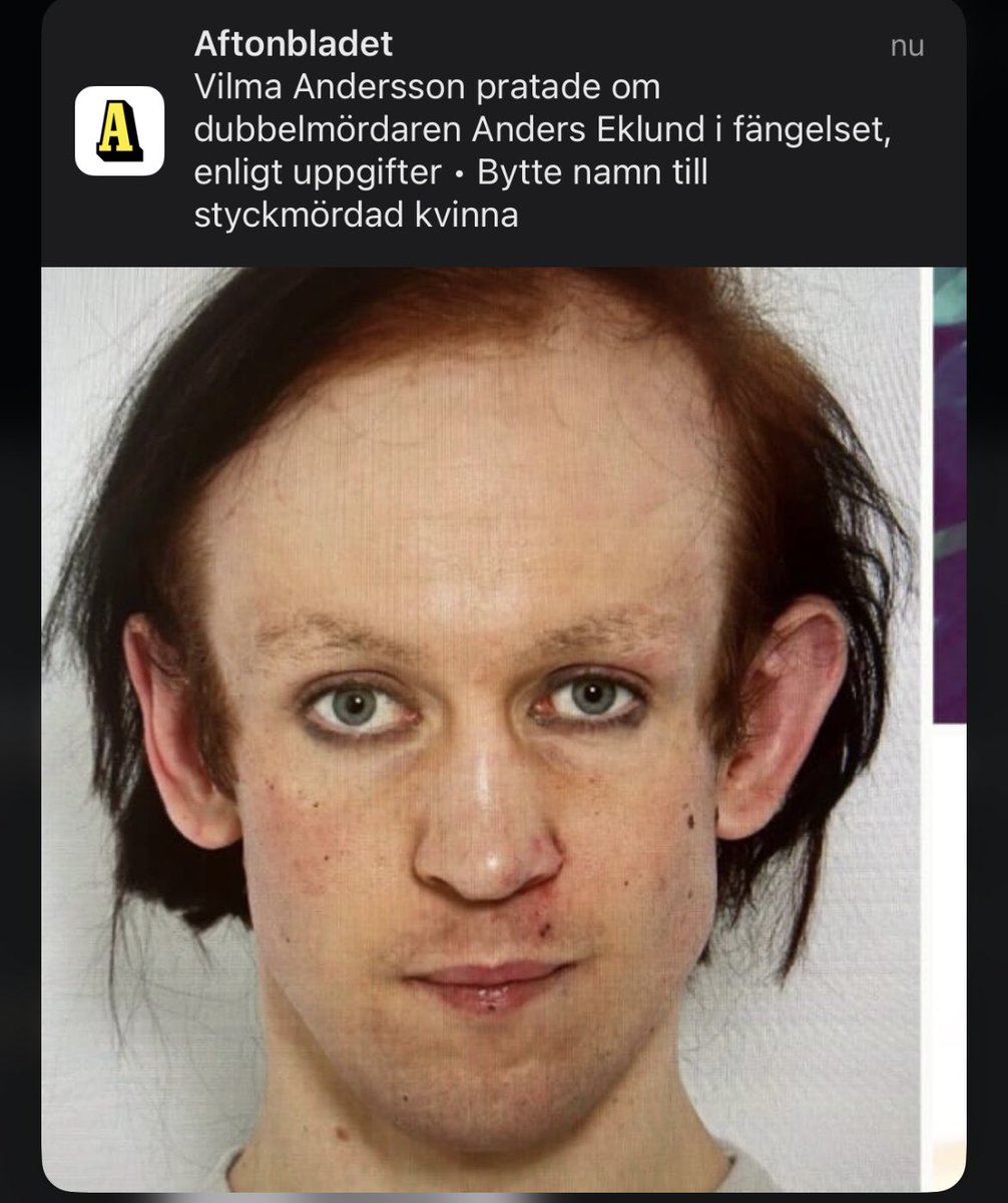 kurdiska björnen tweet media