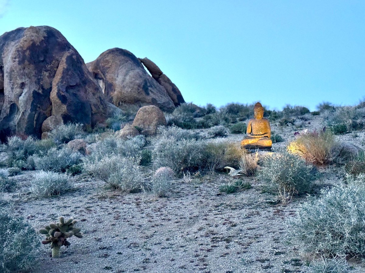 lonesierraviews's tweet photo. 🔗 Book your stay now:
👉 https://t.co/7qdQscMz62
#ExploreCalifornia #DreamDestination #AlabamaHills #ExploreTheWorld #EscapeTheOrdinary #LuxuryStay #CaliforniaDreaming #HikingParadise #hikingadventures #OutdoorAdventures #CaliforniaVacation #GetawayGoals https://t.co/wxH2tWSa1v