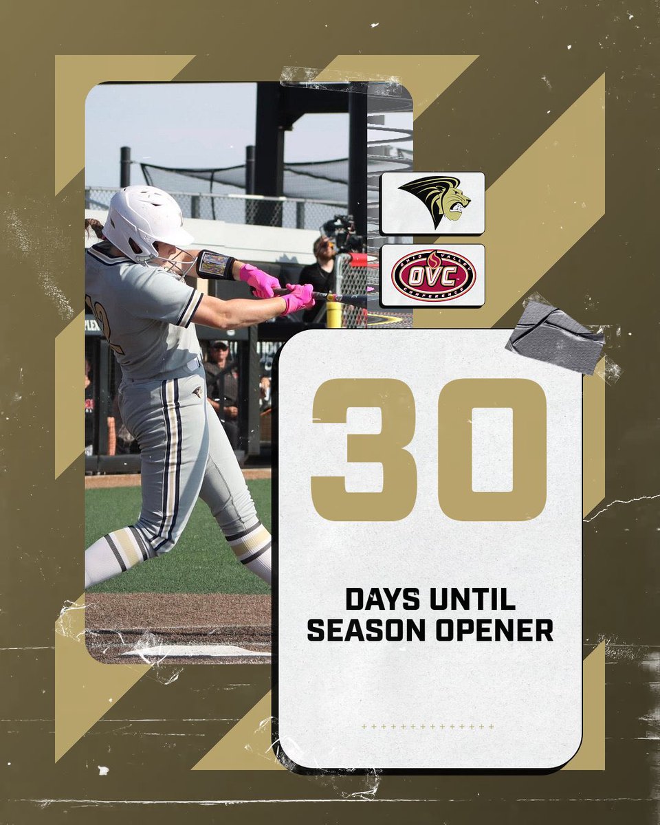 Lindenwood Softball tweet media