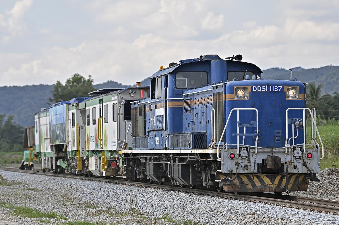 ペソギソ☆ ペソギソチャソ🐧 (@pesogisochaso) / Posts / X