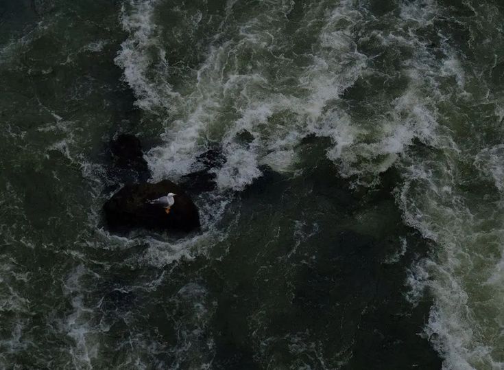 elemmiressoul's tweet photo. dark waves. https://t.co/dwKcSonExF