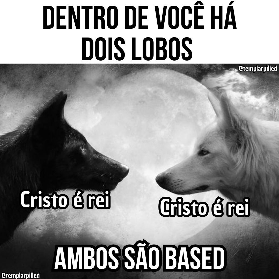 abracetradicao's tweet photo. https://t.co/b07qzb3hKt