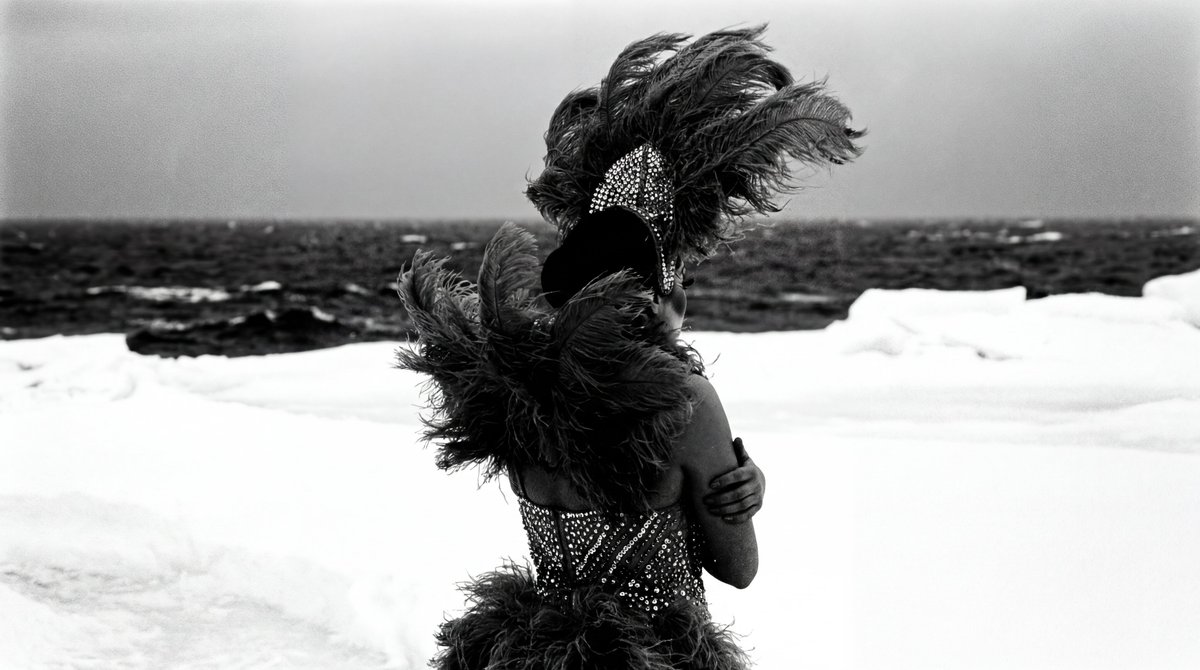 Arctic showgirl contact sheet