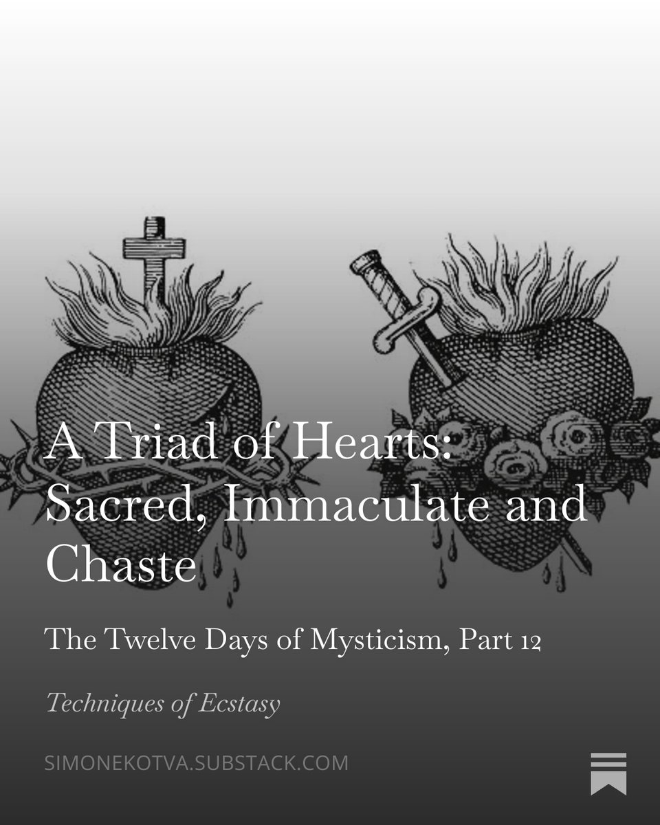 Dr Simone Kotva tweet media