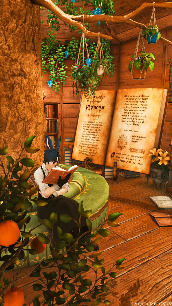 rm_xiv's tweet photo. 高難易度行ったあとのゆったりタイム🌿
🏷️#FF14マリカフェ
#FF14 #FF14SS #おはウサ https://t.co/H65jRdIyIV