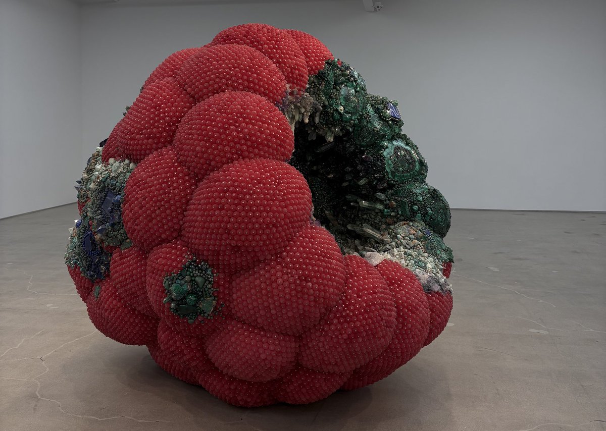 httpdenali's tweet image. rotting can be so beautiful