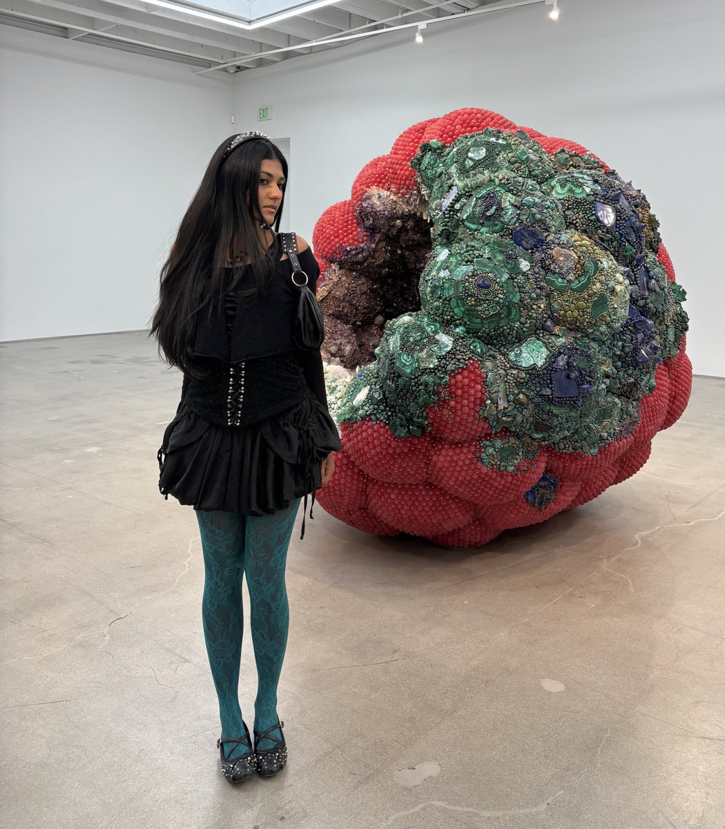 httpdenali's tweet image. rotting can be so beautiful