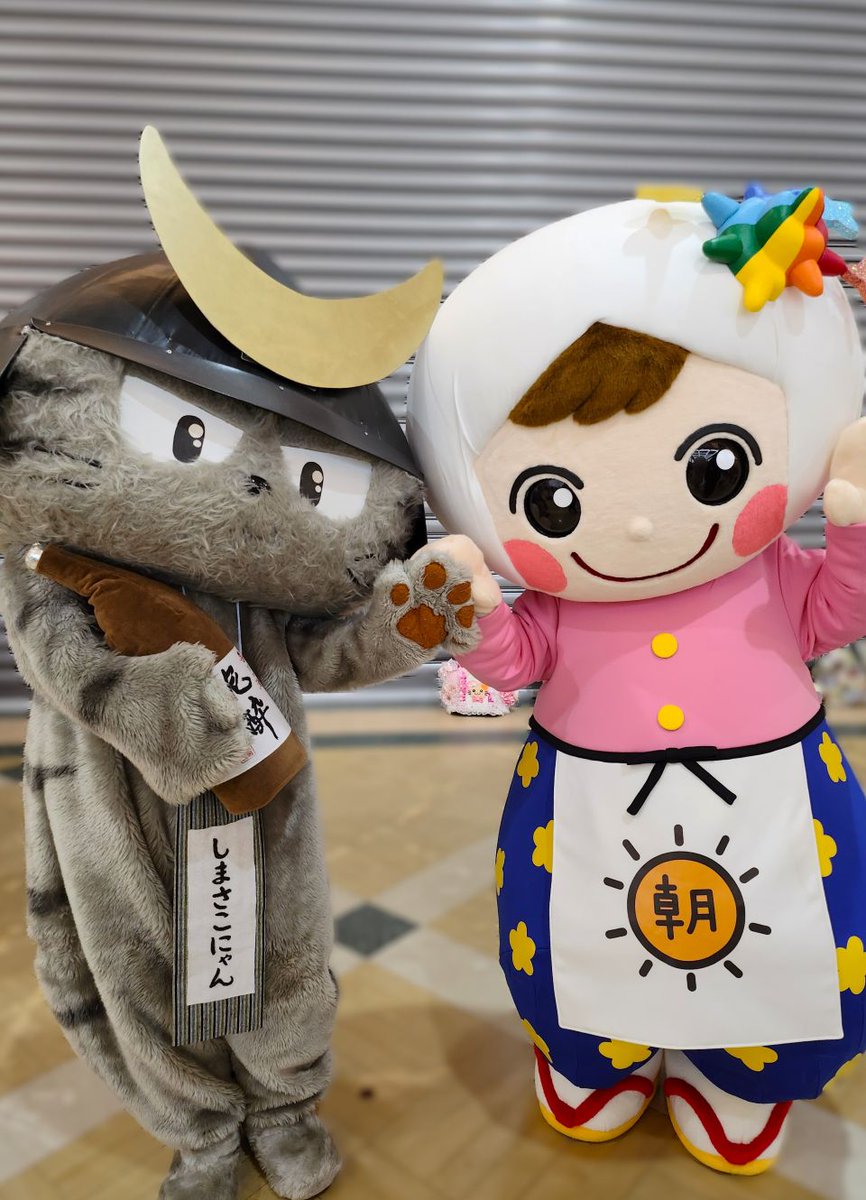 まさにゃん みつにゃん・さこにゃん・にゃんぶ【公式】出陣依頼受付中 (@gino3sho