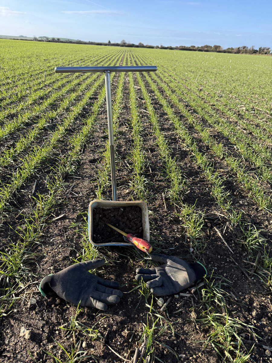 Ross Leadbeater tweet media