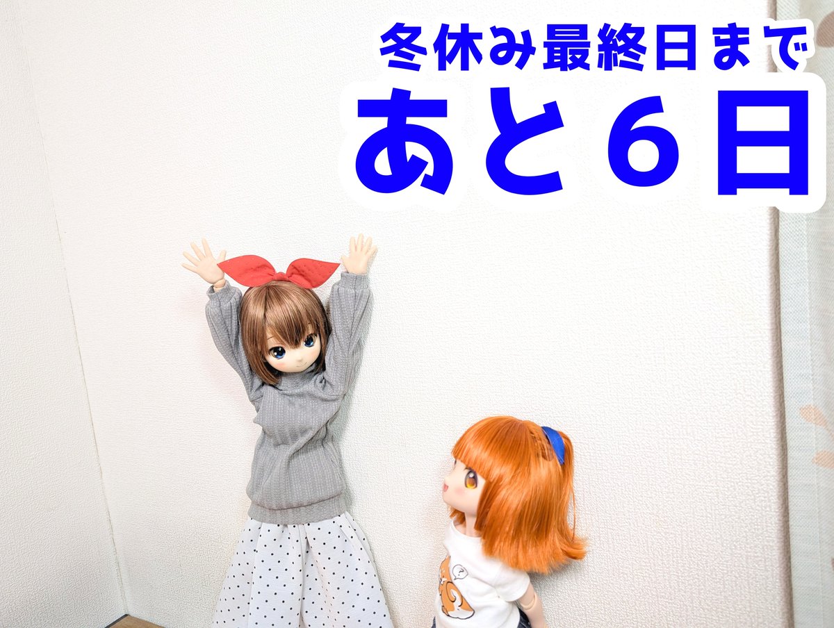 りんごちゃん🍎 (@DollAppleChan) / Posts / X