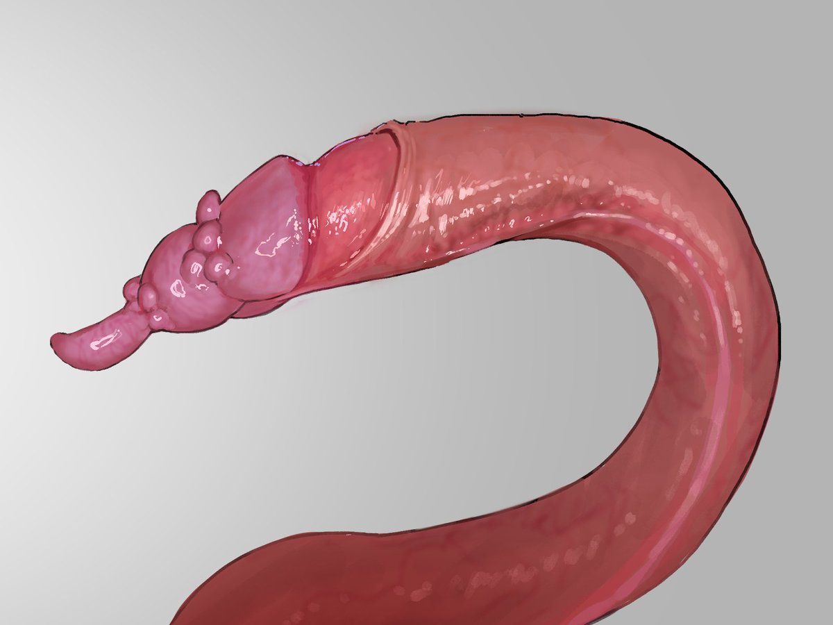 おはようございます🐙🦑

私は今日も触手練習🪱 