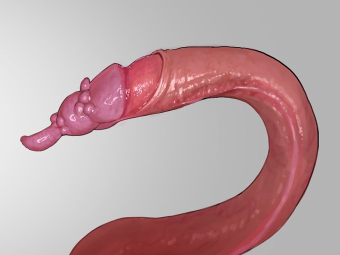 おはようございます🐙🦑

私は今日も触手練習🪱 