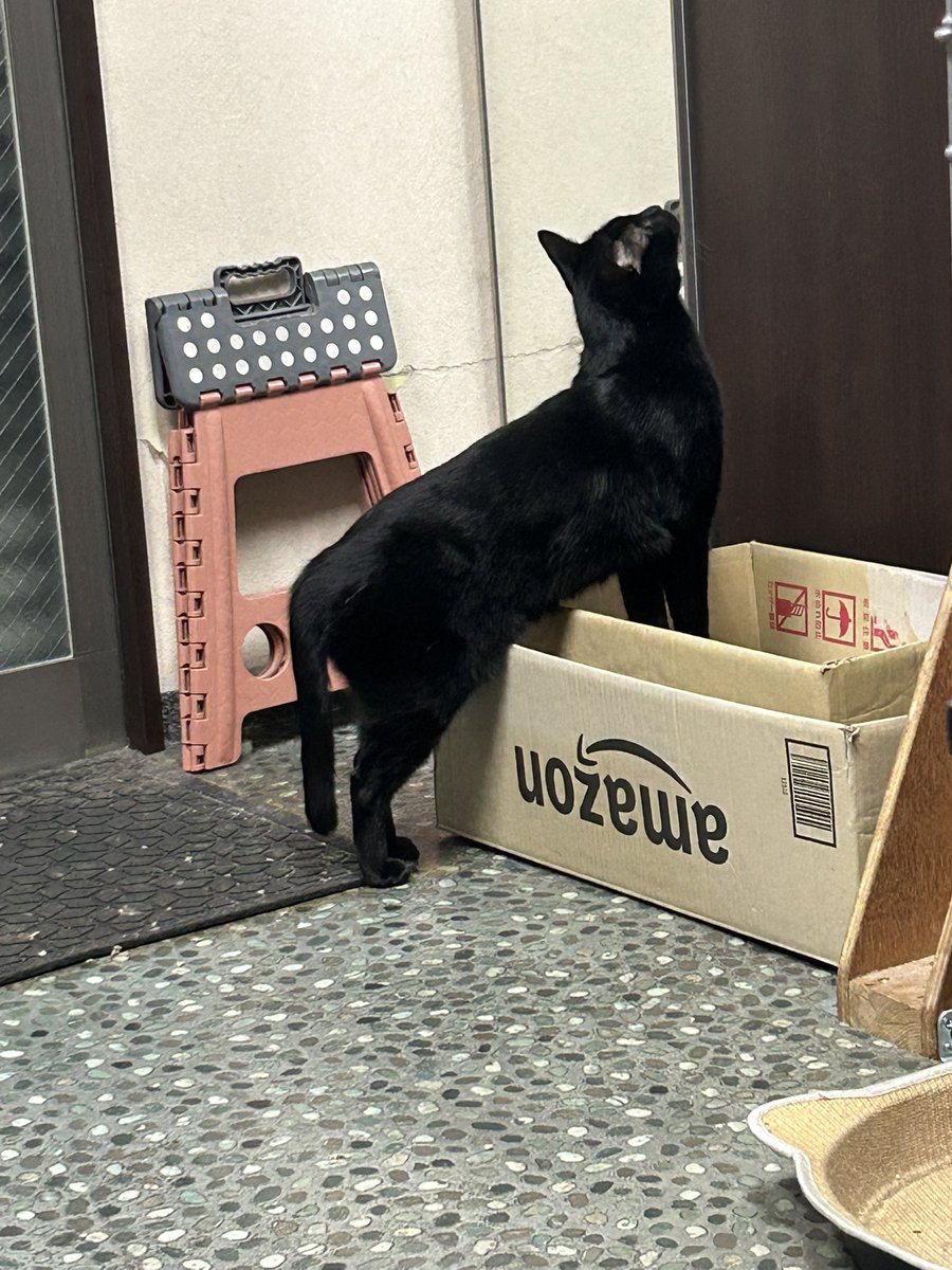 Hiromiページ H I R O M I (@HIROMI66136439) / Posts / X