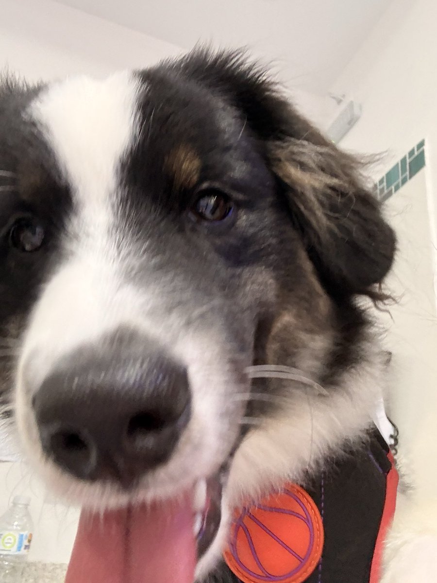 raphaelafl's tweet image. boa noite pexual