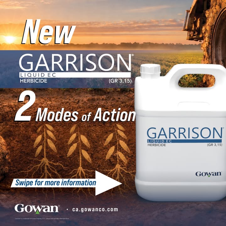 Gowan Canada tweet media