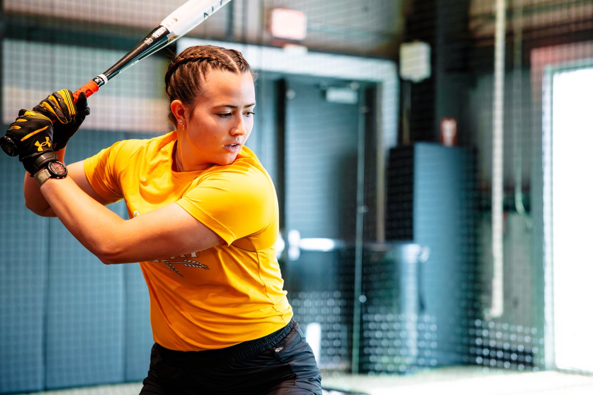Wichita State Softball tweet media
