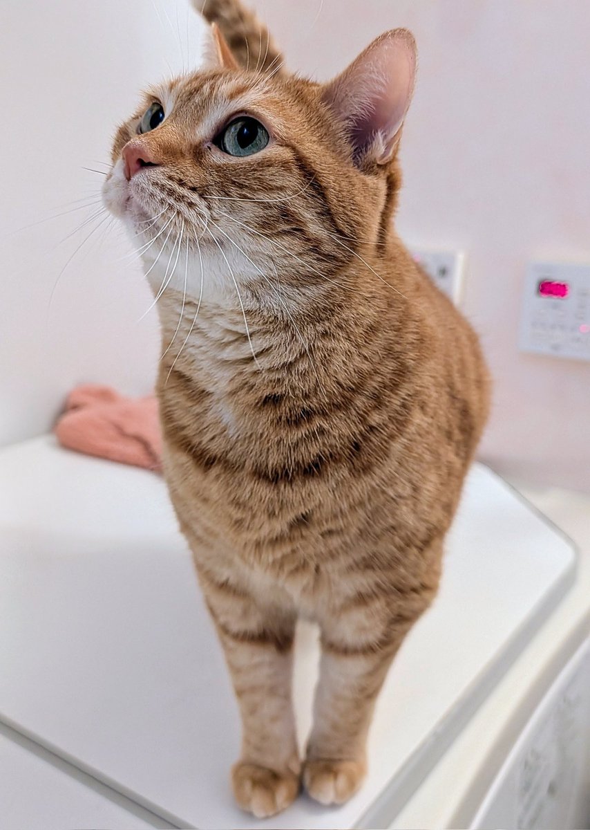 SAKUちゃん (@SakuraYnkk1) / Posts / X