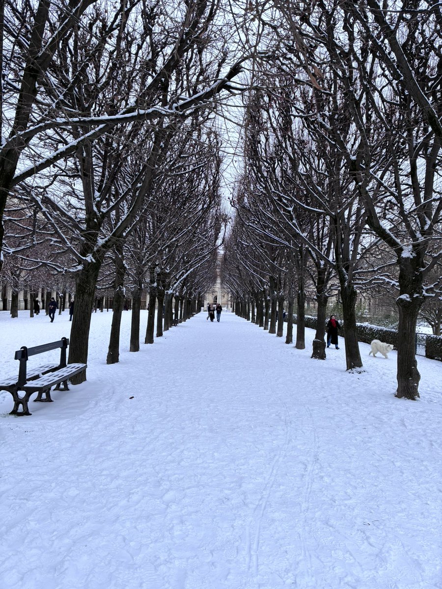 CQLouvreOpera's tweet image. Je m’en irai dormir dans le paradis blanc
Où les nuits sont si longues qu’on en oublie le temps
Tout seul avec le vent
Comme dans mes rêves d’enfant
Je m’en irai courir dans le paradis blanc ❄️ #PalaisRoyal #ParisCentre