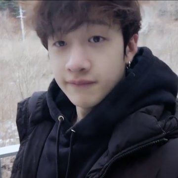 Stray kids as the newly re-designed minecraft mobs 

a VERY important 🧵✨ #StrayKids