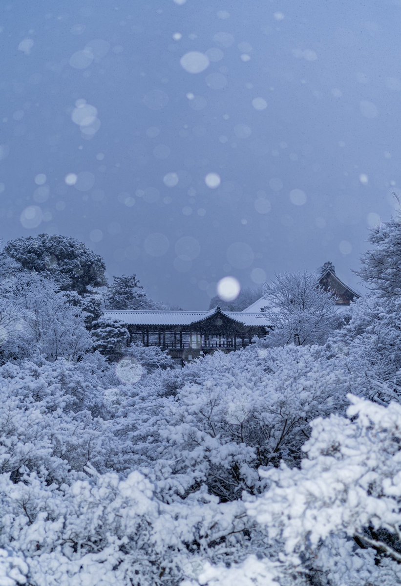 Yuya.M (@yuyar33) / Posts / X