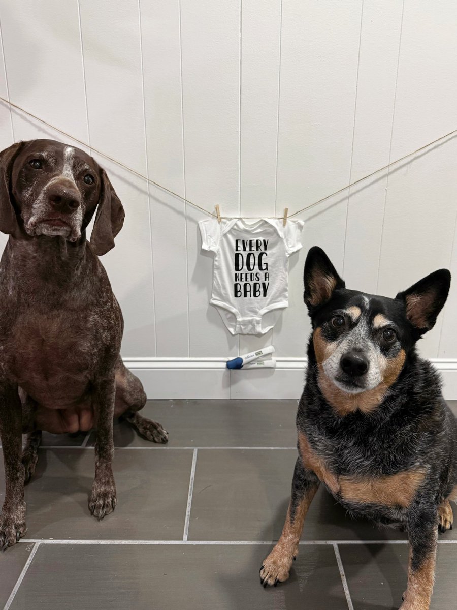 missp14's tweet image. Gonna have another Alabama fan just in time for the new football season. 🍼🤍