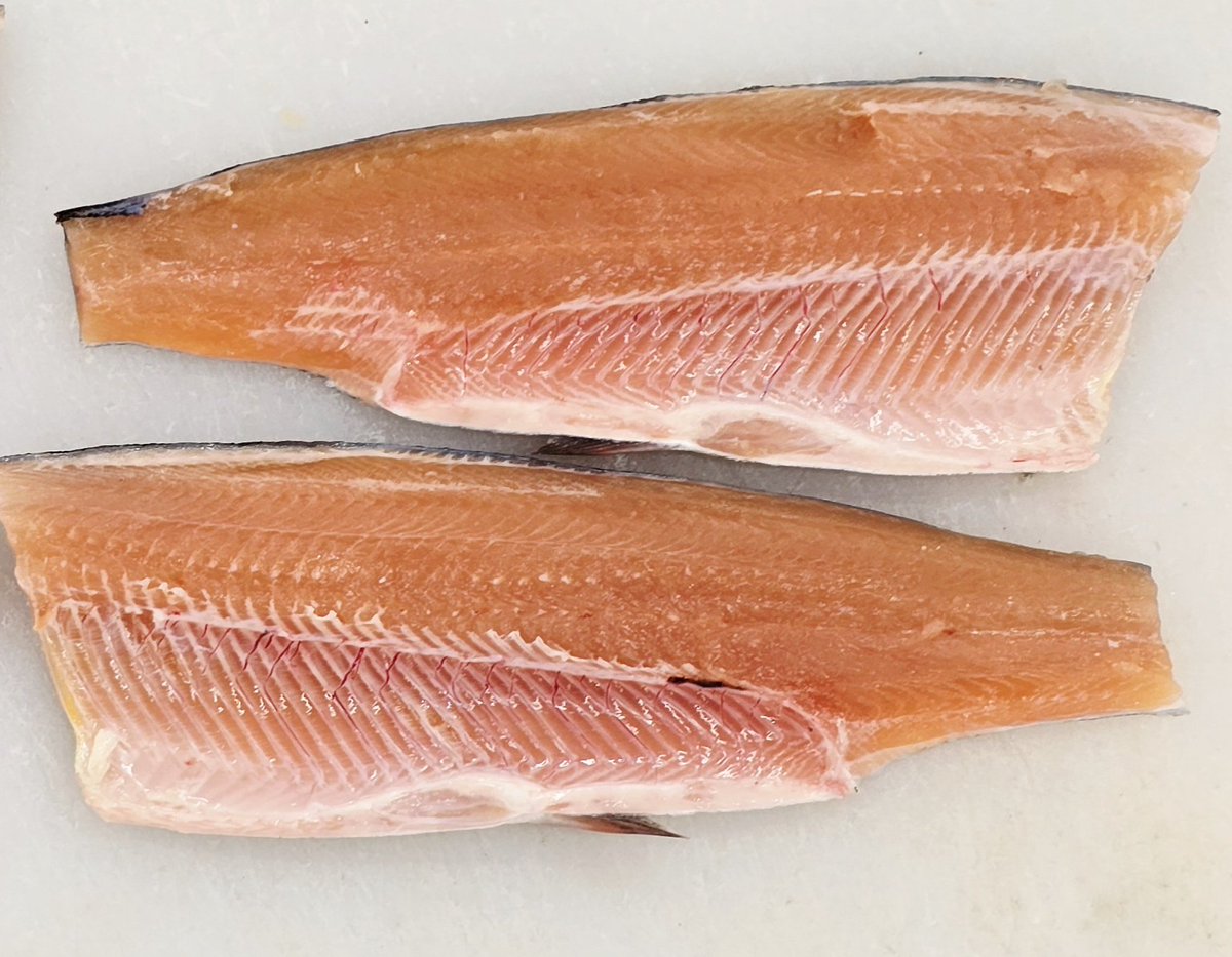 五頭のお魚さん小さくても赤みがかってる✨