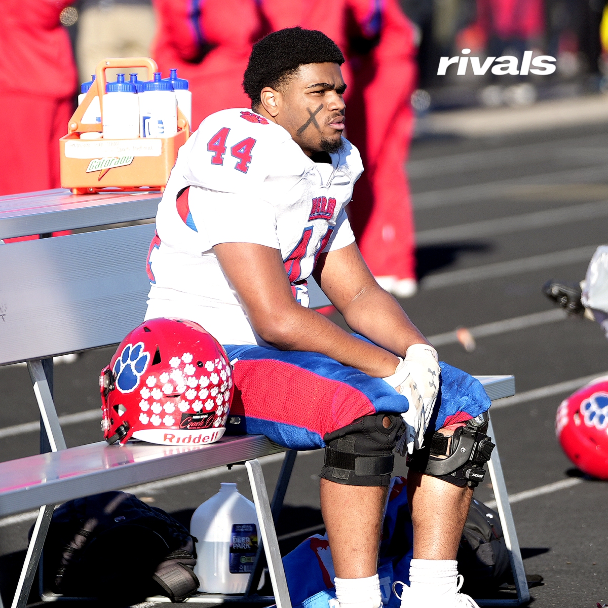 Will Vapreps Garlick tweet media