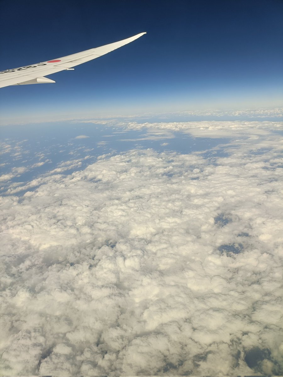 寒いから南に移動中