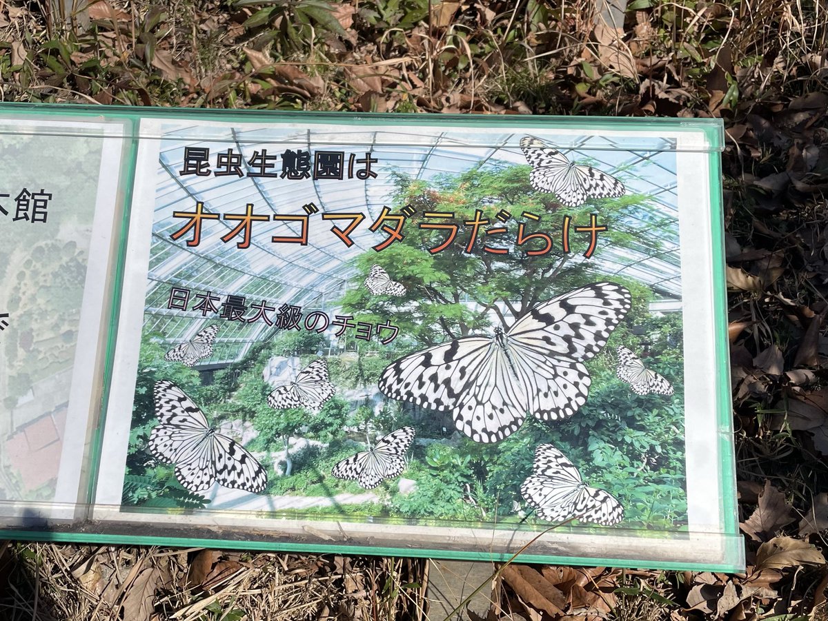 mocokitty's tweet image. 今日も一日