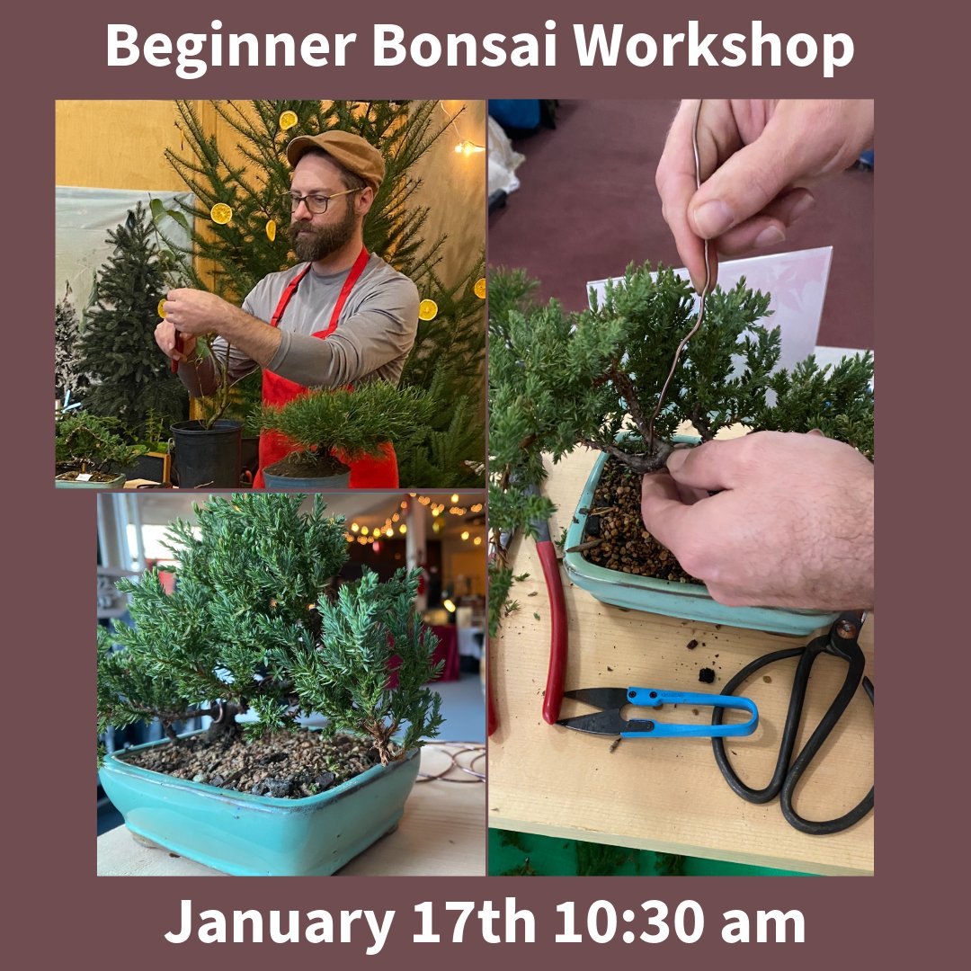 CupOfTeaOregon's tweet photo. 🌿 Bonsai Workshop 🌿
Hands-on bonsai with Ben Redmond. Get your own tree + tools, learn pruning, design, and care.
🕥 10:30 gather | 🕚 10:45 start
⚠️ Limited spots — sign up soon! https://t.co/7vb4kUE5xj