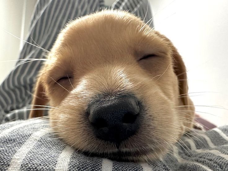 keonholds's tweet image. 