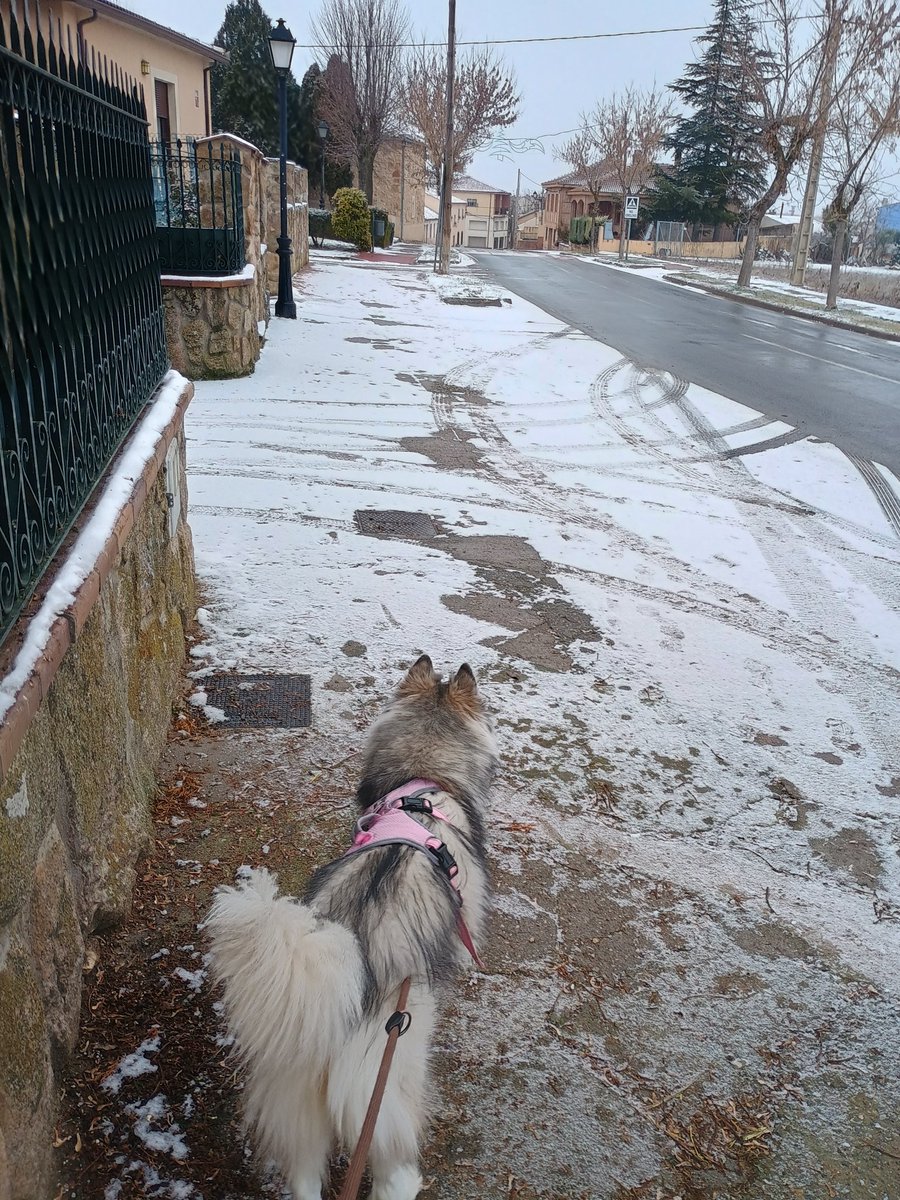 Ineliababs's tweet image. Still team frío pero a veces oye tia