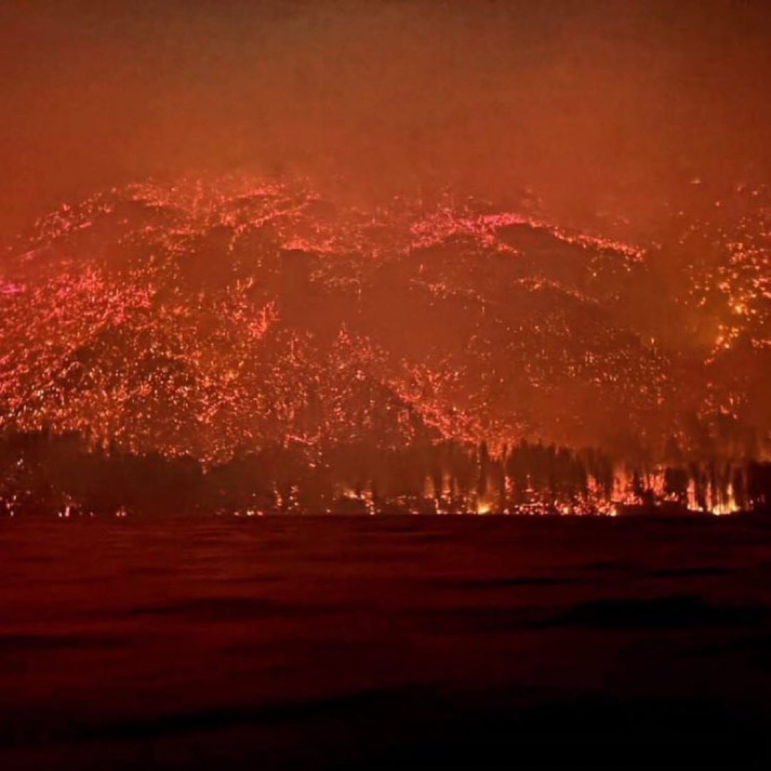 Jvnior's tweet image. 🚨 BREAKING: 

Two Israeli ‘tourists’ BURN DOWN a protected forest in Argentina on January 6, 2026 🇦🇷 

These IDF soldiers were caught starting fires in a protected forest. When confronted… They FLEF the scene.

Police are now hunting them down.