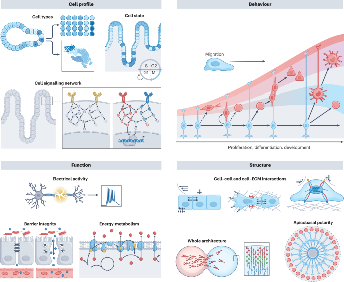 Nature Reviews Bioengineering tweet media