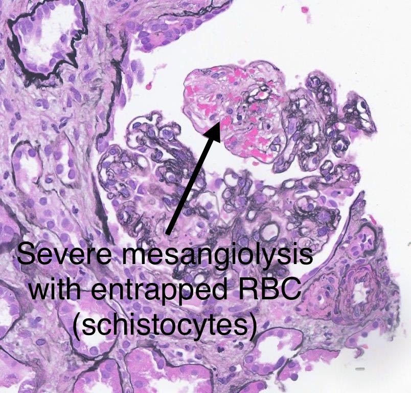 Sanjeev Sethi tweet media