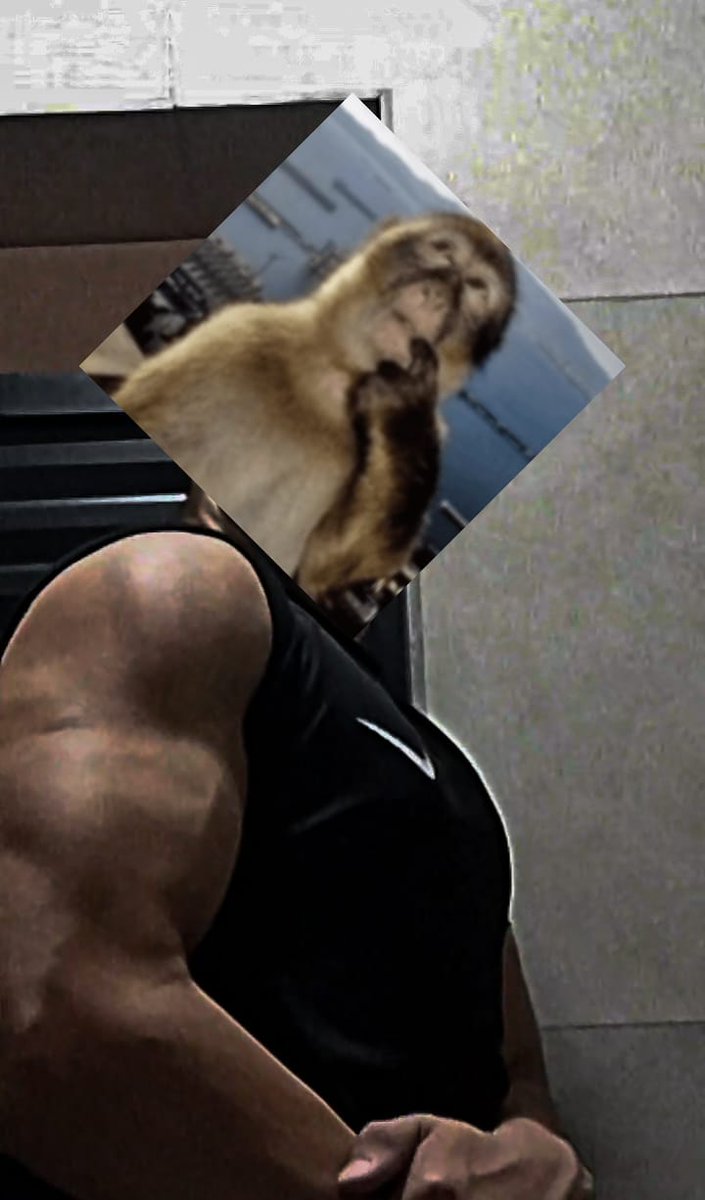 midt67's tweet image. De hoje 💪