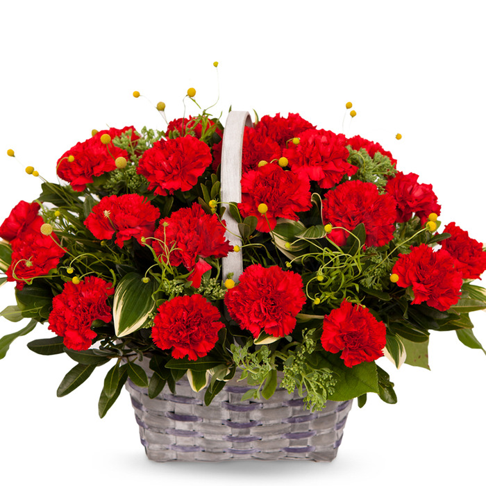 🌸 무지개플라워 🌸

🎉 3단 화환 100,000원 → 59,000원 특가!
🚚 무료 배송

✨ “화환은 보내는 분의 정성입니다” ✨
저렴한 가격, 높은 퀄리티로 만족을 드립니다.

📞 문의전화 : 1688-0034
🌐 홈페이지 : 16880034.co.kr

✅ 계산서 발행 가능
✅ 기업체 월말 결제 가능
✅ 전국가능