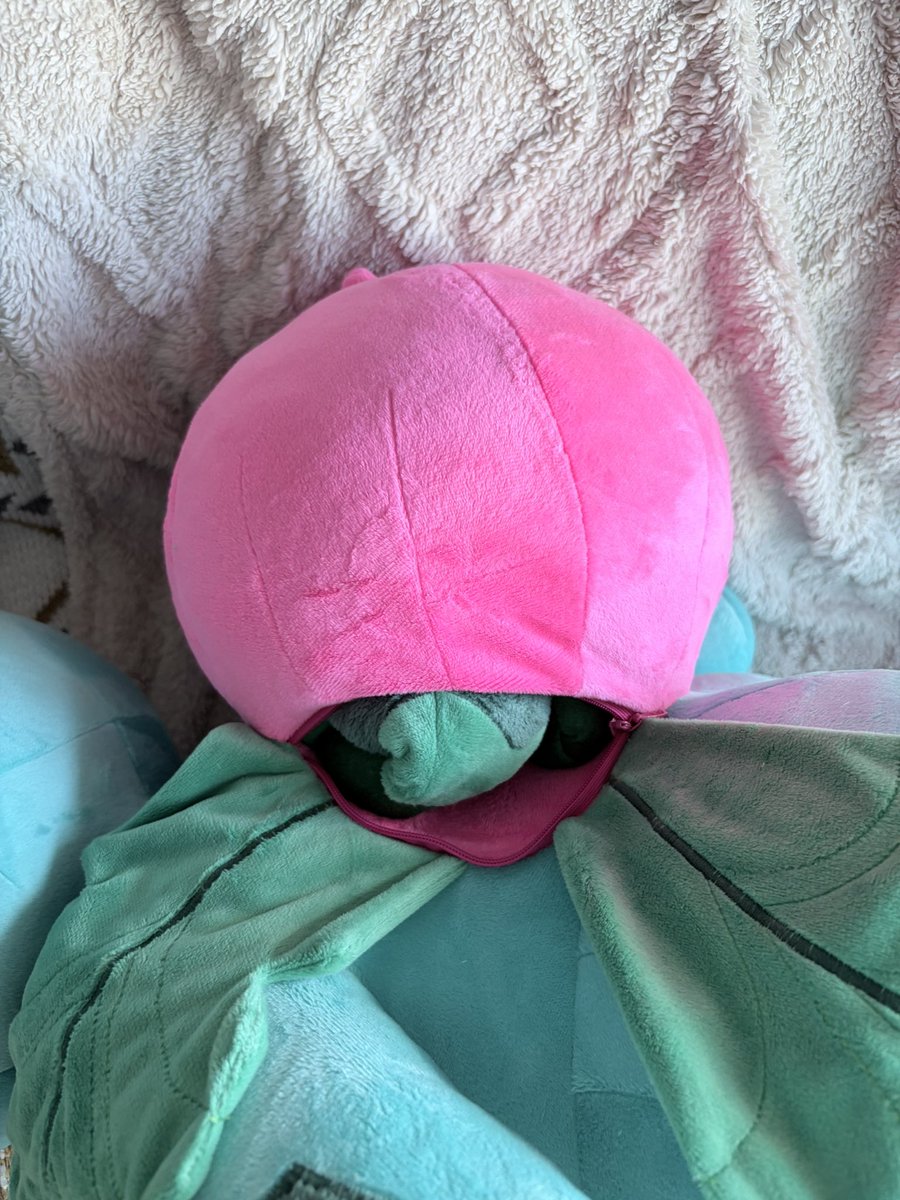 Pussy Plush 🔞 tweet media