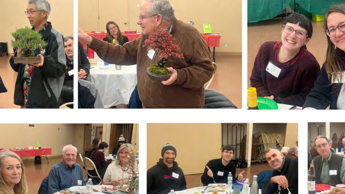 Some photos from our #bonsai club holiday party.