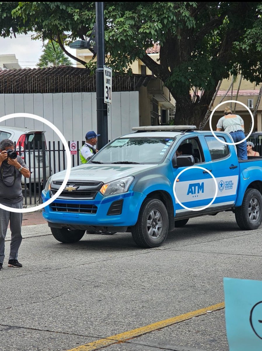 Bita✨️🦋 tweet media