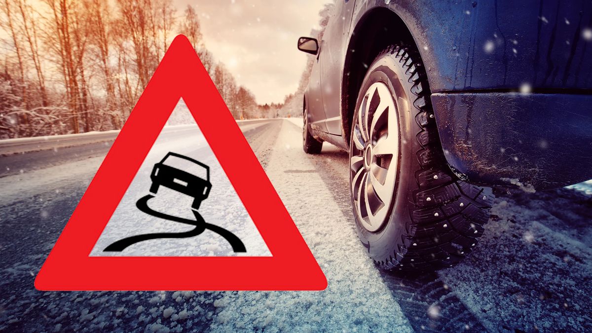 AvriGladheid tweet media