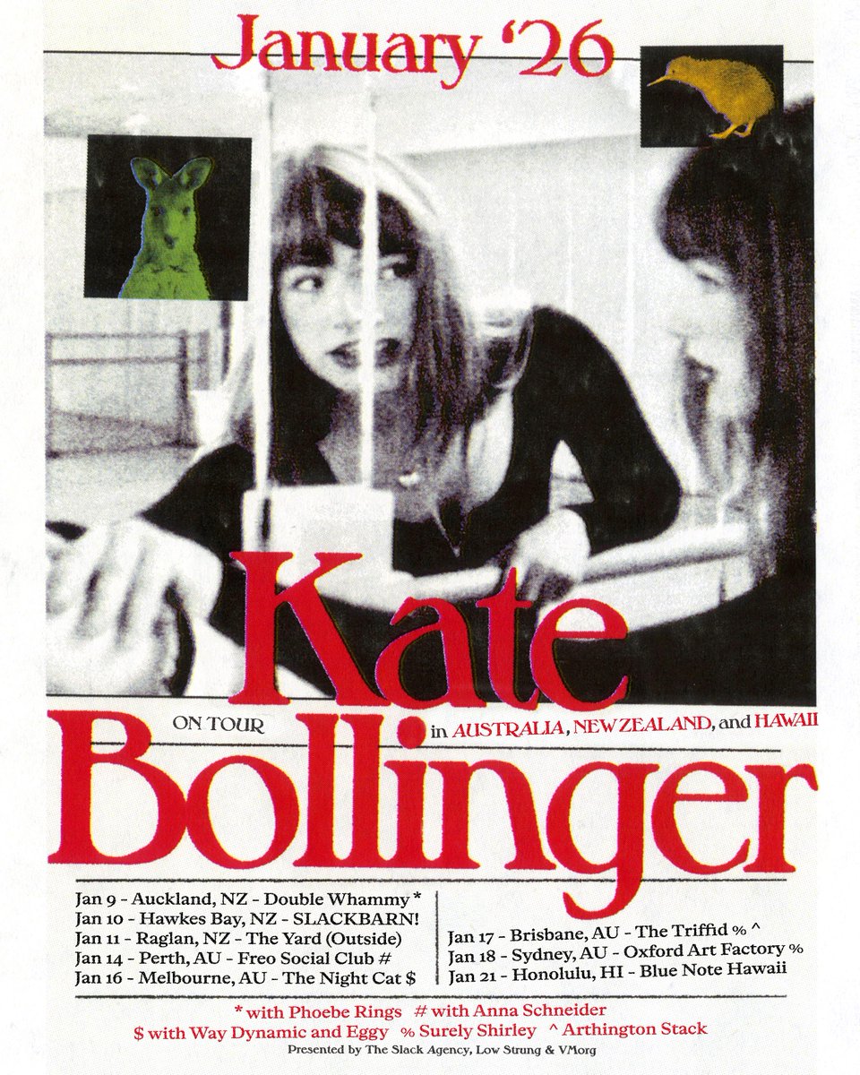 Kate Bollinger tweet media