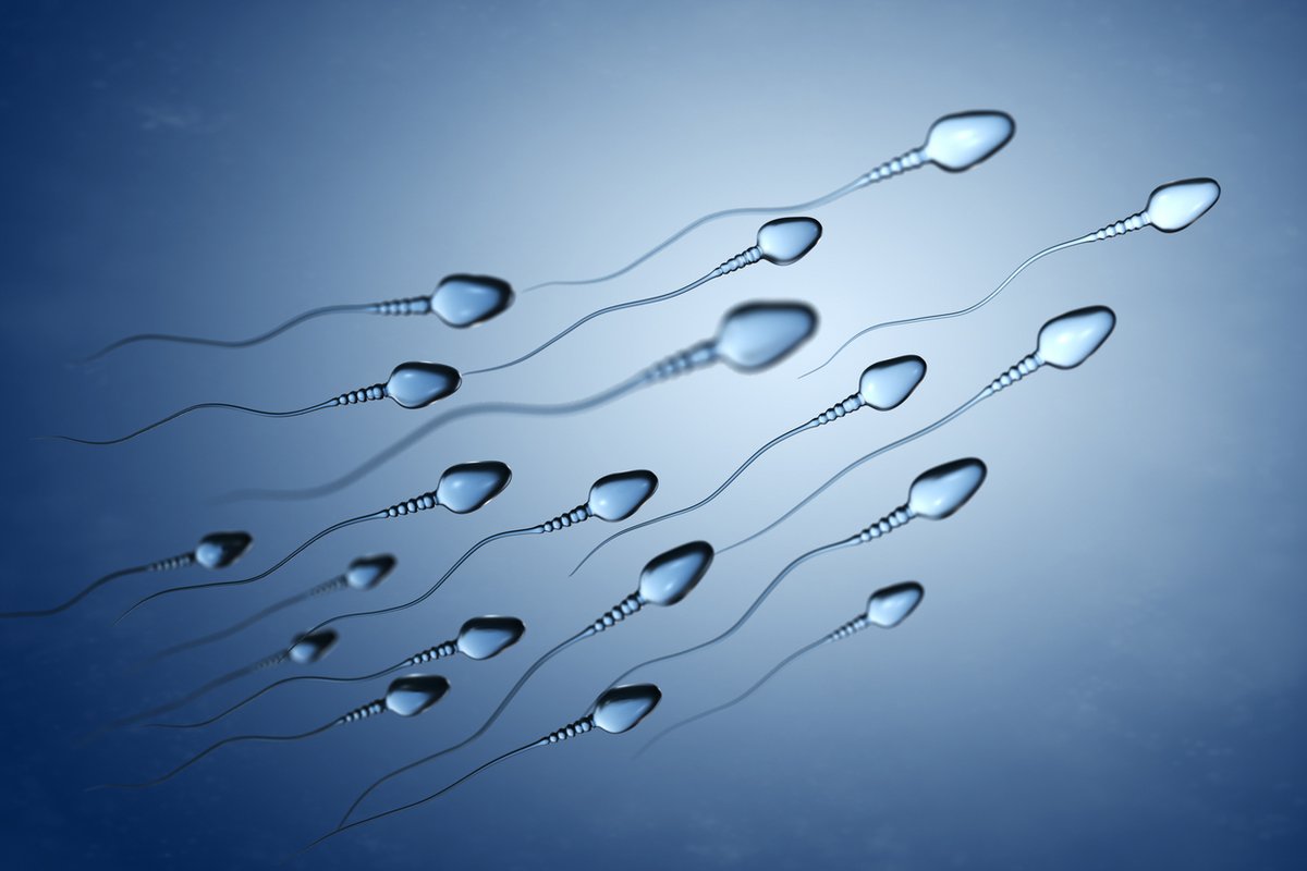 #fertility101
What happens if no embryos develop after fertilization?
This can occur for various reasons, including egg or sperm factors. If it happens, the care team will typically review the cycle and discuss possible adjustments or alternative approaches for future treatment.
