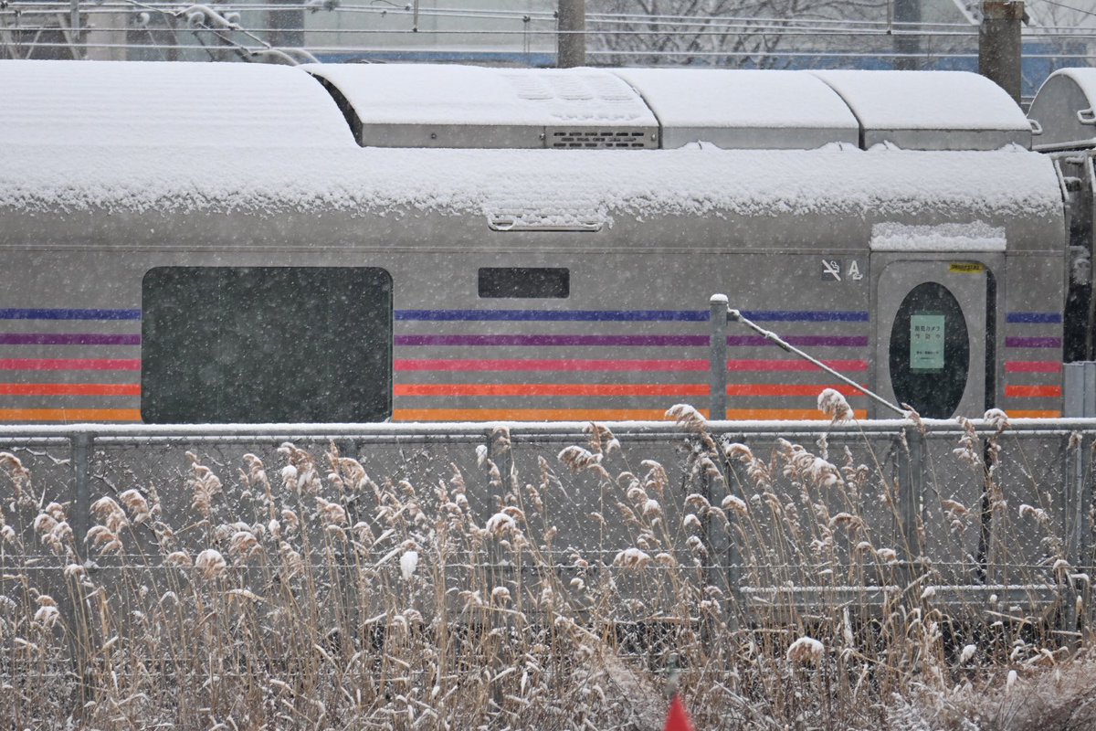 えぬ (@Cocoa_189_510) / Highlights / X