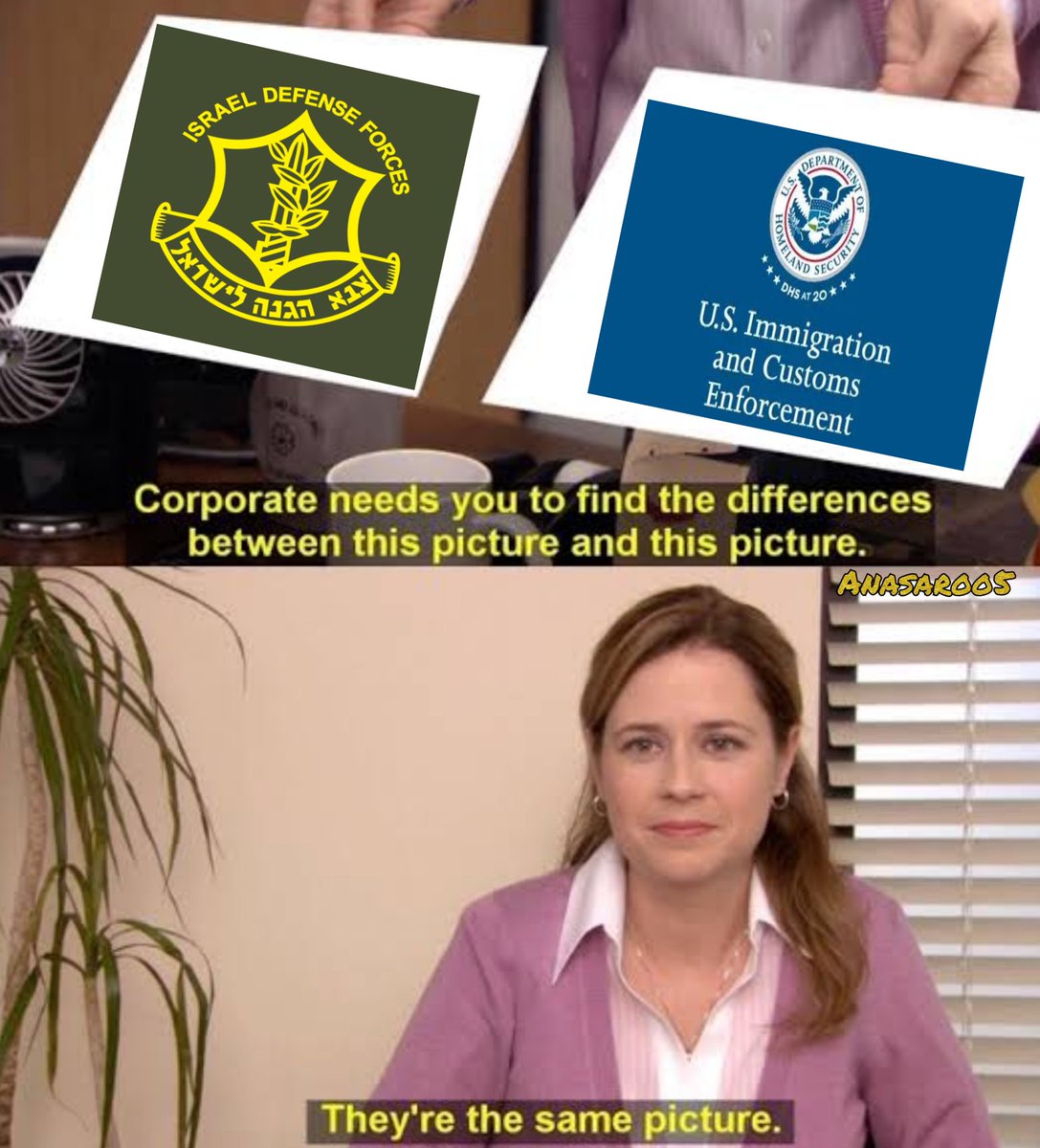 anasaroo5's tweet image. Jewrrorists set the standard