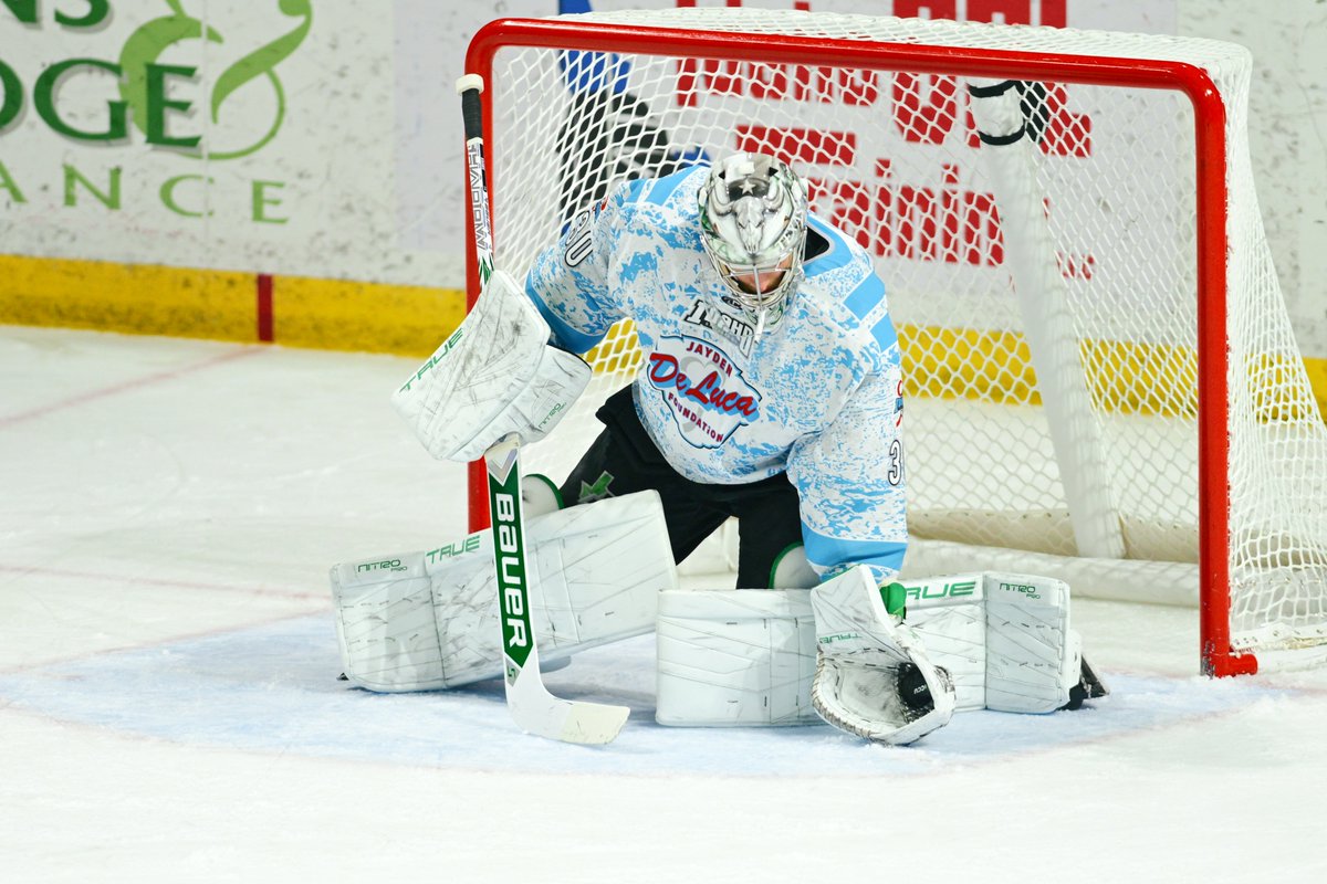 Steelheads's tweet image. First period frames! 📸