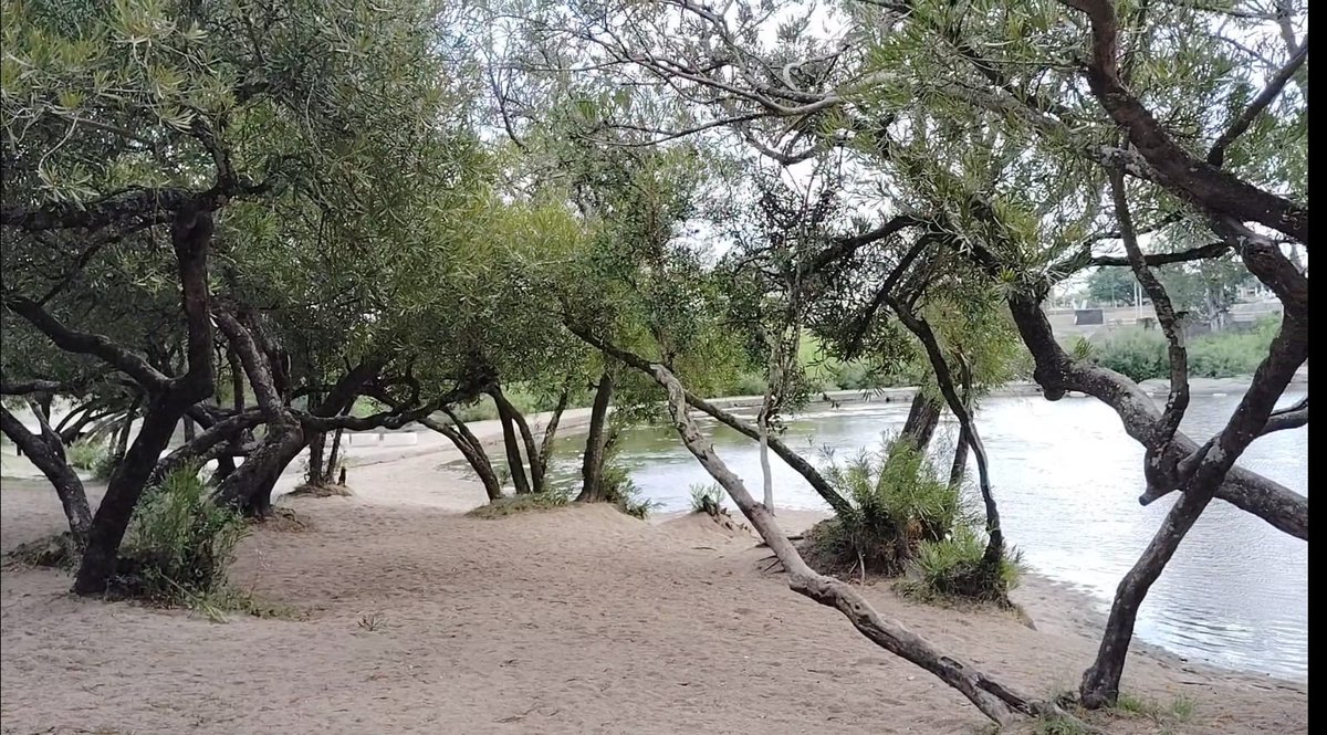 ftc_hd's tweet photo. La encargada del Camping Parque Robaina, Fany Cabrera se mostró sumamente conforme con la gran cantidad de personas que llegan desde distintos puntos del país a disfrutar del mismo, elogiando principalmente la comodidad, tranquilidad y limpieza que encuentran. https://t.co/AwjDa4W2hH