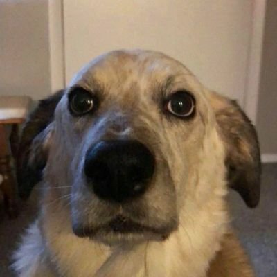 shyiwnl's tweet photo. @noahgugs04 https://t.co/voKU48BBEw