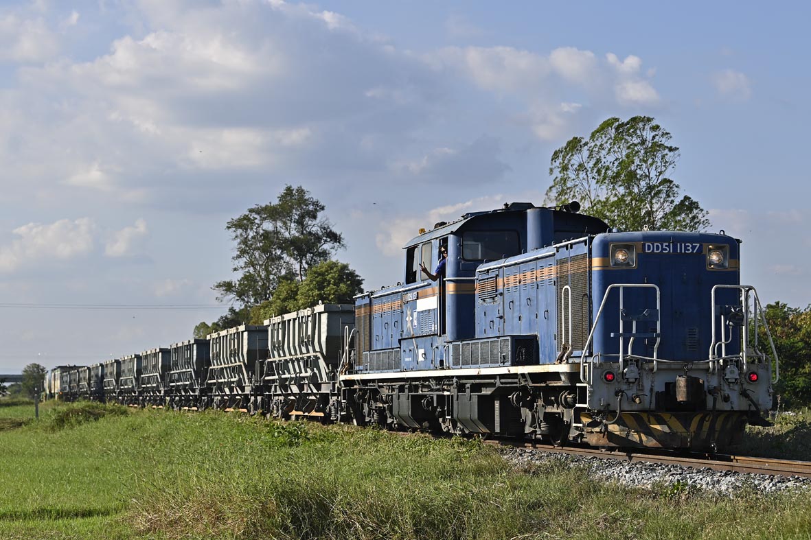 ペソギソチャソ🐧 (@pesogisochaso) / Posts / X